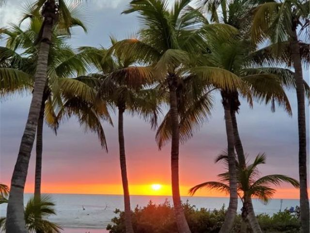 Laguna Shores