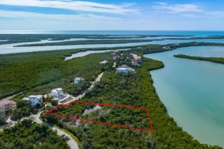 Land, 1079 Blue Hill Creek Dr, Marco Island FL 34145