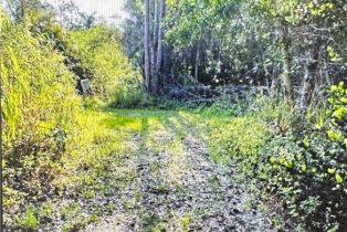 , Rio Grande Drive Dr., Bonita Springs FL 34135