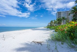 Penthouse,High Rise (8+), 4001 Gulf Shore Blvd N # 4, Naples FL 34103