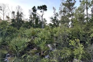 Land, 6350 Mannheim Rd, Bokeelia FL 33922