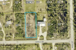 Land, 3486 Tangelo Dr, St. James City FL 33956