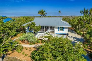 , Gumbo Limbo, FL 