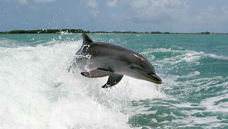 Sanibel Island